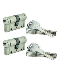 THIRARD - Lot de 2 cylindres Trafic 12  30x30mm  nickel  anti-arrachement  anti-perçage  anti-casse  10 clés