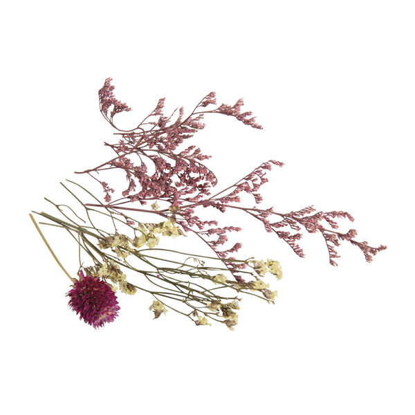 Mini Fleurs séchées - rose tendre