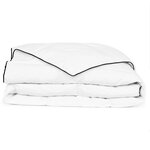 vidaXL Couette en duvet d'hiver 200 x 220 cm