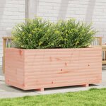 vidaXL Jardinière 110x60x49 5 cm bois massif de douglas