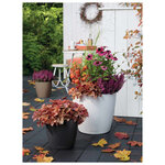 LECHUZA Jardinière Classico Color 43 ALL-IN-ONE Blanc 13230