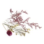 Bouquet de minis fleurs séchées roses
