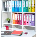 Classeur À Levier Prem'touch Intérieur Et Extérieur En Polypropylène - Dos 80mm - A4 Maxi - Gris Foncé - X 10 - Exacompta