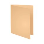 Paquet De 250 Sous-chemises Super 60 - 22x31cm - Bulle - X 5 - Exacompta