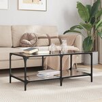 vidaXL Table basse avec dessus en verre noir 98 5x50x40 cm acier