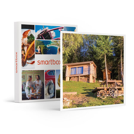 SMARTBOX - Coffret Cadeau 2 jours insolites dans une cabane en bois dans les Alpes -  Séjour