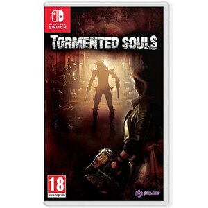 Jeu switch tormented souls
