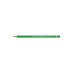 Crayon de couleur Polychromos vert feuille FABER-CASTELL