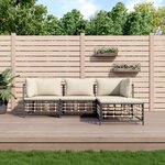 vidaXL Salon de jardin 4 Pièces avec coussins anthracite résine tressée