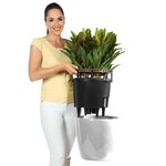 LECHUZA Jardinière CLASSICO LS 35 ALL-IN-ONE blanc brillant 16060
