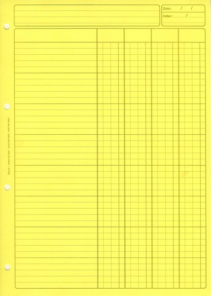 Bloc Audit 4 Colonnes + entête 297X210 80 Pages Jaune ELVE