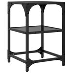 vidaXL Tables basses avec dessus en verre noir 2 Pièces 30x30x45 cm acier