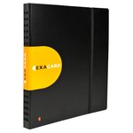 Porte Cartes De Visite Exacard À Pochettes Détachables 320 Cartes Exactive® - 26 5x25cm - Noir - X 5 - Exacompta