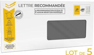 Prêt-à-Poster - Lettre Recommandée - 20g - Enveloppes à fenêtre en lot de 5