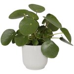 Vibes Fold Pot de fleurs rond 30 - Blanc Ø 30 x 27 cm