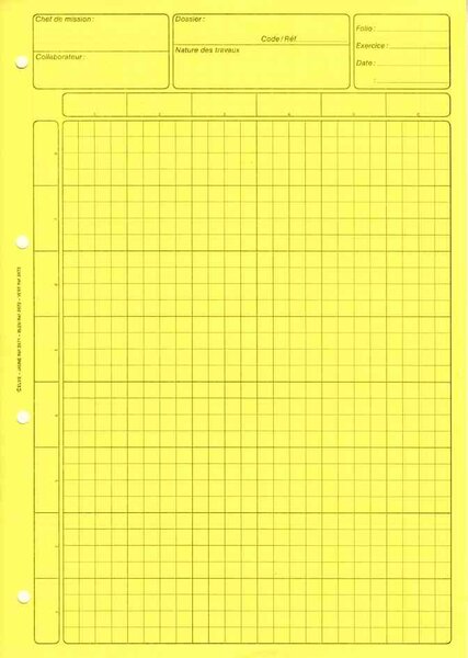 Bloc audit 'Contrôle interne' A4 80 pages Jaune ELVE