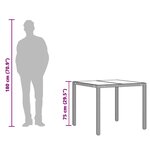 vidaXL Table de jardin dessus en verre Gris 90x90x75 cm Résine tressée