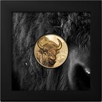 Pièce de monnaie en Or 25000 Togrog g 31.1 (1 oz) Millésime 2025 Wild Mongolia BISON
