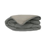 Couette chaude Microfibre Acier & Argent 240 x 260 cm