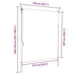 vidaXL Store roulant d'extérieur 150 x 270 cm Anthracite