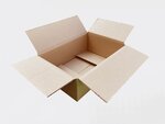 50 Boîtes carton Format B – 300x200x100mm