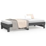 vidaXL Lit coulissant sans matelas gris 2x(100x200) cm