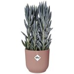 Pot de fleurs Rond VIBES - Plastique - Ø 25 - Rose poudré