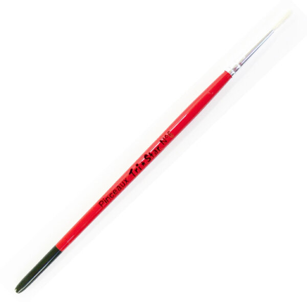Brosse ronde Soie de Porc n°6 - lot de 10 brosses