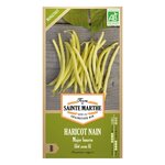 Haricots nain Major Beurre bio - Graines à semer