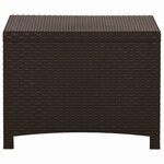 vidaXL Boîte de rangement de jardin 60x54x41 cm Rotin PP Marron