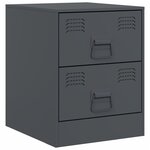 vidaXL Tables de chevet 2 Pièces anthracite 34 5x39x44 cm acier