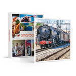 SMARTBOX - Coffret Cadeau Journée en Suisse en train panoramique avec repas et apéritif en classe Confort -  Multi-thèmes