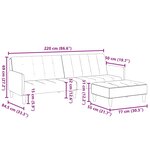 vidaXL Canapé-lit à 2 places avec repose-pied gris foncé tissu