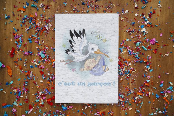 Carte à planter cigogne naissance garçon