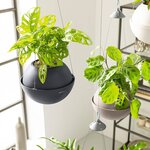 LECHUZA Jardinière suspendue BOLA Color 32 ALL-IN-ONE Ardoise
