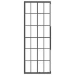 vidaXL Cabine de douche ESG dépoli 80x80x180 cm Noir