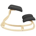 vidaXL Chaise assis-genoux noir 48x71x51 cm contreplaqué de bouleau
