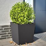 vidaXL Jardinières 2 Pièces noir 50x50x50 cm acier