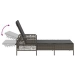 vidaXL Transat Gris et gris foncé Rattan PE 157 x 55 x 92 cm Transat