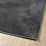 vidaXL Tapis OVIEDO à poils courts anthracite 60x110 cm