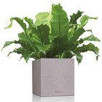 LECHUZA Jardinière Canto Color Square 40 ALL-IN-ONE Gris 13720