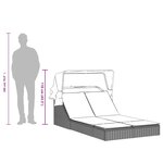 vidaXL Chaise longue double avec auvent et coussins marron poly rotin