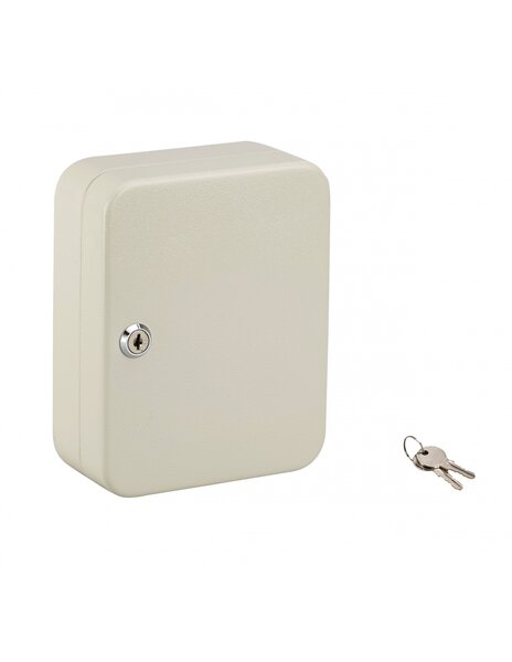 THIRARD - Armoire à clé Kibox  serrure à cylindre  capacité de 20 clés
