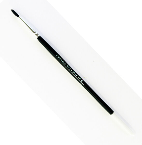 Pinceau rond Aquarelle mélange extra -fin n°6 - lot de 10 pinceaux