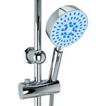 vidaXL Ensemble de douche à deux têtes avec douchette Acier inoxydable