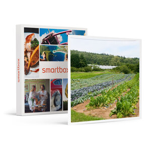 SMARTBOX - Coffret Cadeau Séjour insolite en famille : 5 jours en roulotte près de Saint-Etienne -  Séjour