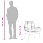 vidaXL Chaises de jardin lot de 2 et coussins marron rotin
