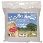 2 Oreillers MERIBEL Plumettes 60 x 60 cm