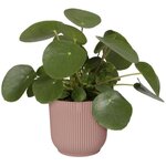 Pot de fleurs Rond VIBES - Plastique - Ø 25 - Rose poudré