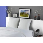 2 Oreillers MERIBEL Plumettes 60 x 60 cm
